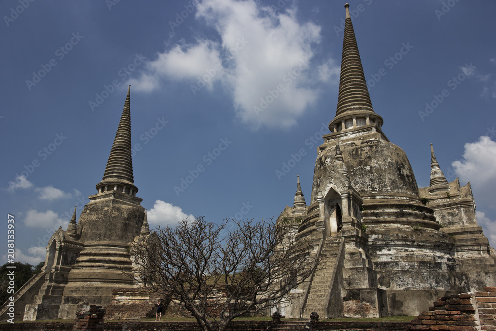 Fototapeta premium Descubriendo Tailandia