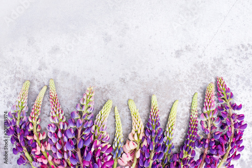 Bright background with colorful lupines on the textured table
