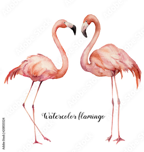Watercolor two flirting flamingos set. Hand painted bright exotic birds isolated on white background. Wild life illustration for design  print  fabric or background.