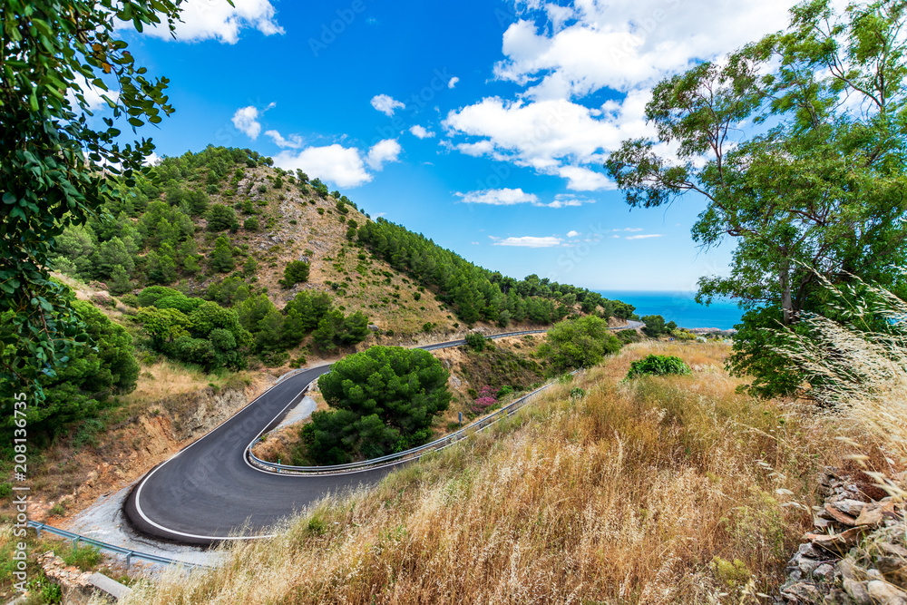 Carreretra de montaña con curvas y árboles