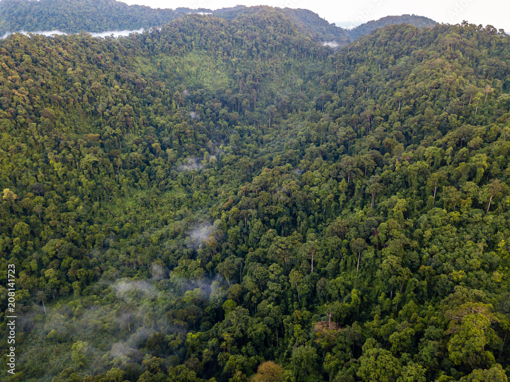 Aerial view of mist, cloud and fog hanging over a lush tropical rainforest after a storm Aerial view of mist, cloud and fog hanging over a lush tropical rainforest after a storm