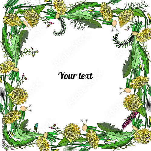Fototapeta Naklejka Na Ścianę i Meble -  Dandelions background