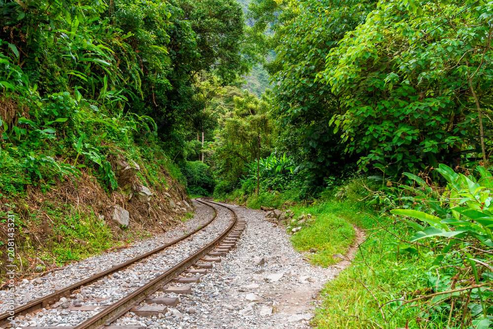 Fototapeta premium Railroad tracks go into the Urubamba jungle towards Machu Picchu, Peru