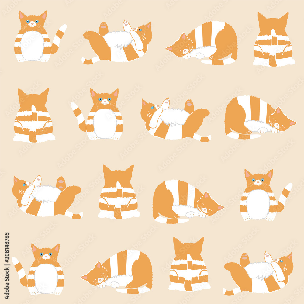 Fototapeta premium Cute orange cat