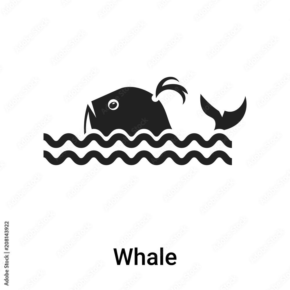 Whale icon vector sign and symbol isolated on white background, Whale logo concept