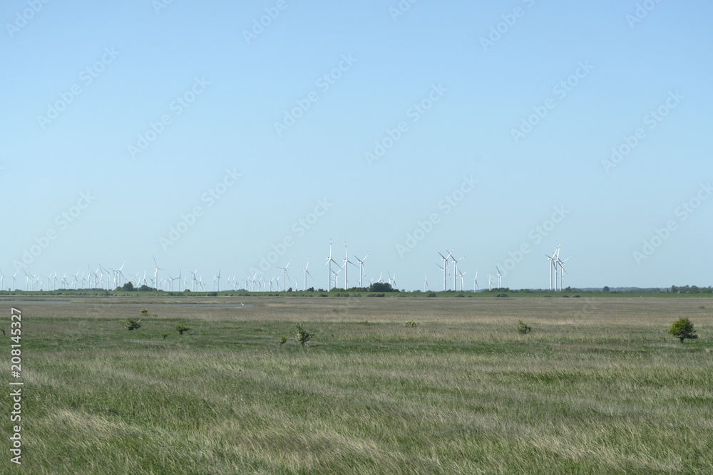 Wiesenlandschaft mit Windrädern im Hintergrund