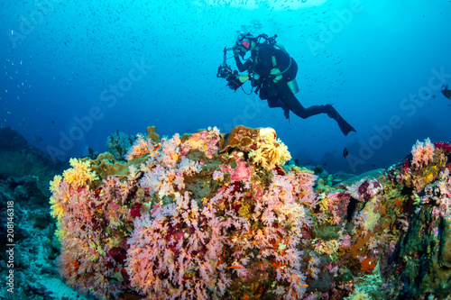 Female SCUBA diver swims over a healthy  colorful tropical coral reef