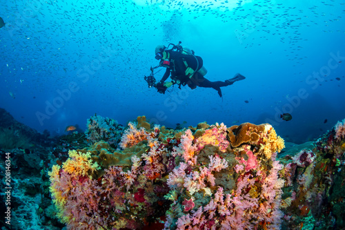 Female SCUBA diver swims over a healthy, colorful tropical coral reef