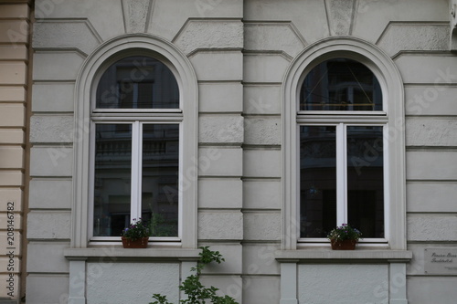 Fenster  Bonn S  d