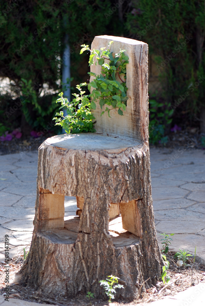 Fototapeta premium SILLA TALLADA DE UN ÁRBOL