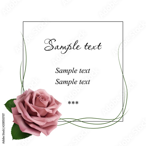 Realistic pink powder rose, card.