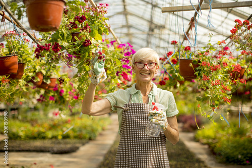 Happy senior florist woman standing and using sprayer in the large flower garden