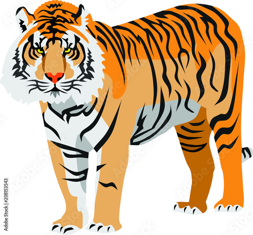 Tiger