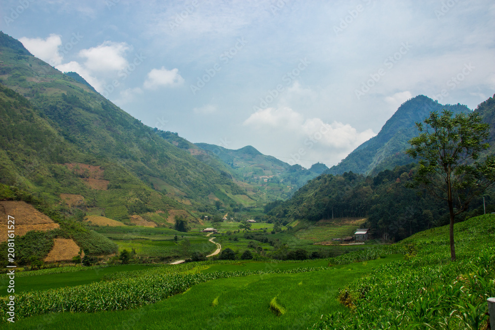 Incredible view of rice fields and green mountains in Vietnam
