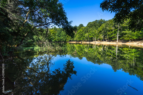A picturesque small lake in Umbra Forest, a natural reserve part of Gargano National Park and UNESCO World Heritage Site, Apulia, Italy