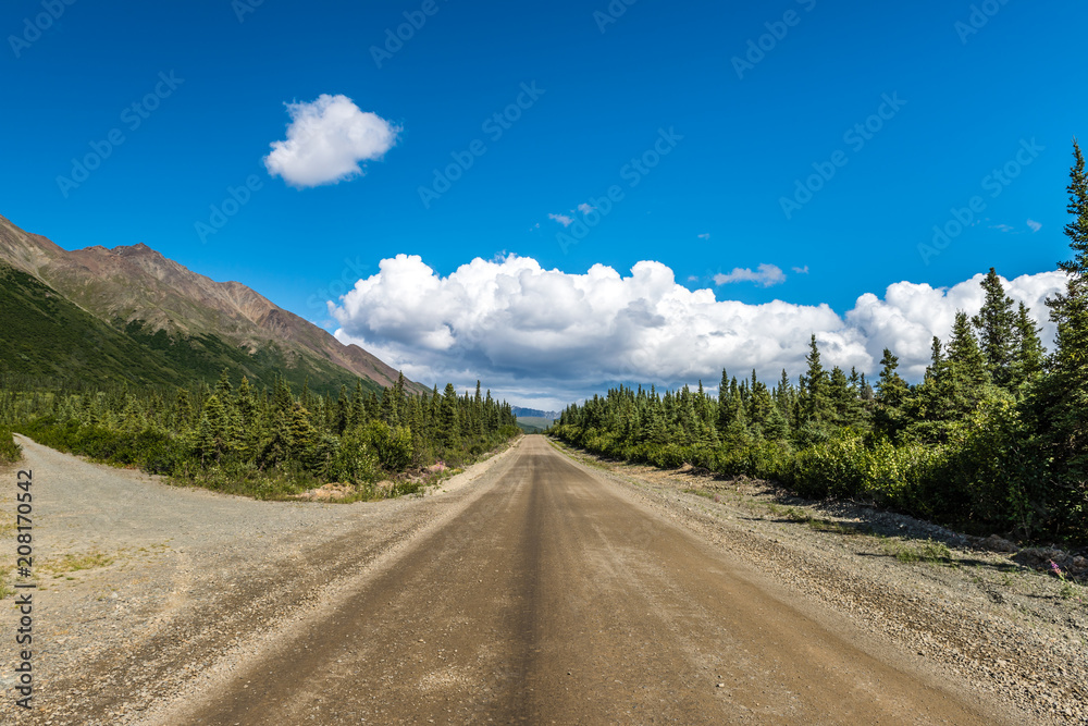 Fototapeta premium The Gravel Road Know as the Denali Highway of Alaska