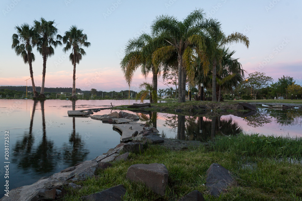 Fototapeta premium Palmeras al atardecer con reflejo