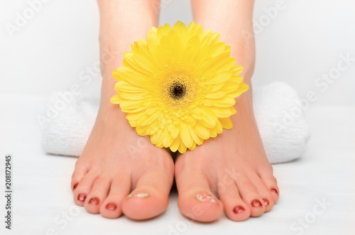 Beautiful woman feet and yellow gerbera flower on white background. Care of female legs concept. Spa salon.