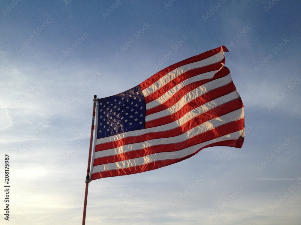 Obraz premium US-Flag-004