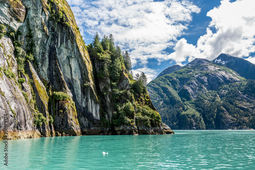 Fototapeta Naklejka Na Ścianę i Meble -  Steep Cliffside Along the Tracy Arm Fjord in Alaska
