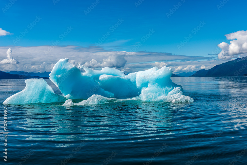 Iceberg in an Alaskan Fjord Iceberg in an Alaskan Fjord
