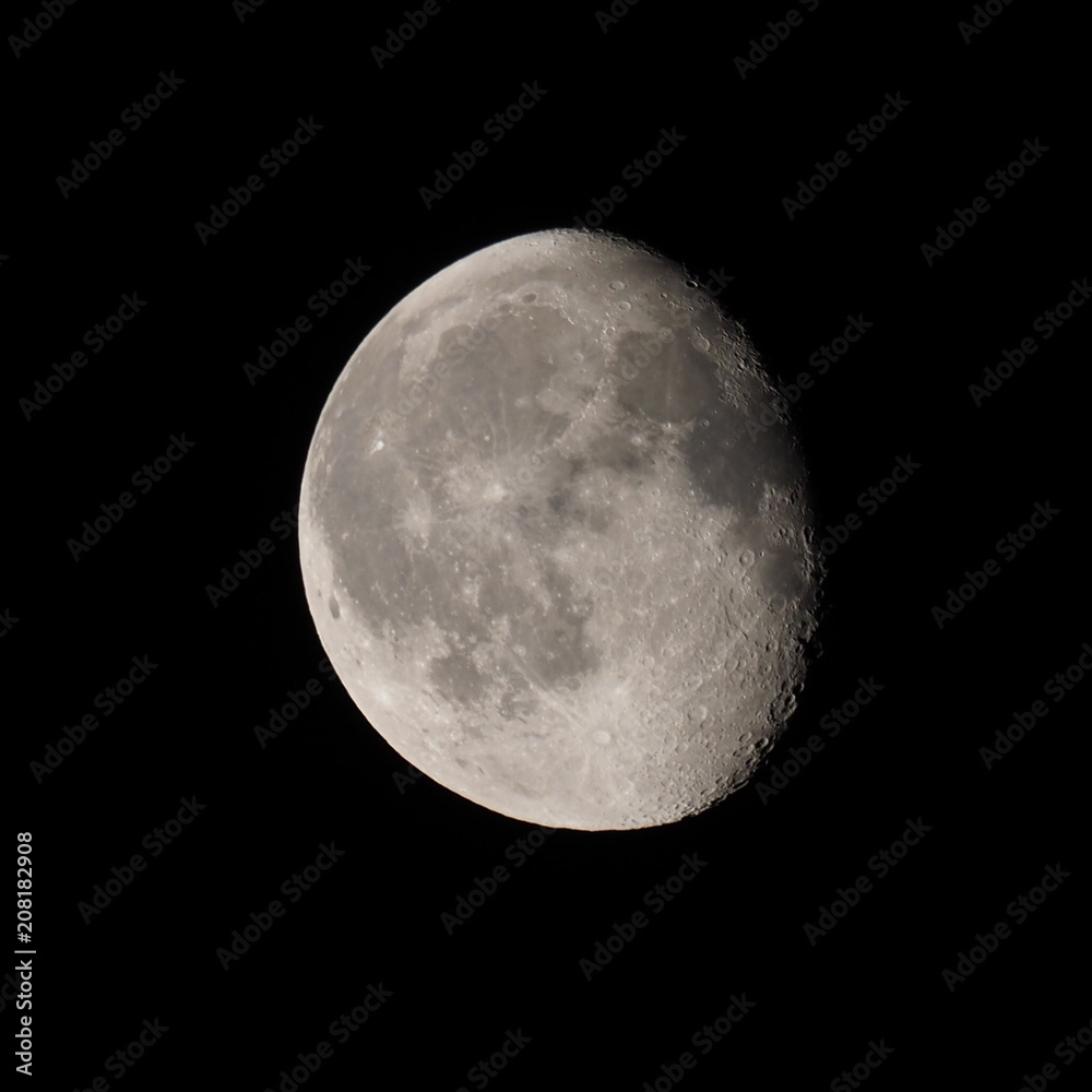 Obraz premium OLYMPUS DIGITAL CAMERA