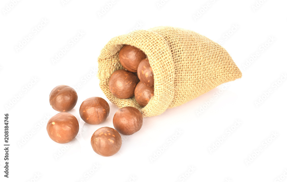 Macadamia nut on white background Macadamia nut on white background