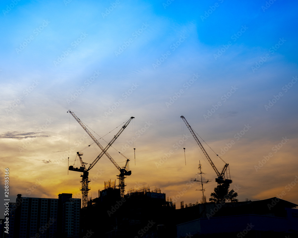 cranes cranes
