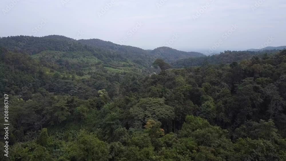 Aerial View Of Forest On Cascading Hills Aerial View Of Forest On Cascading Hills