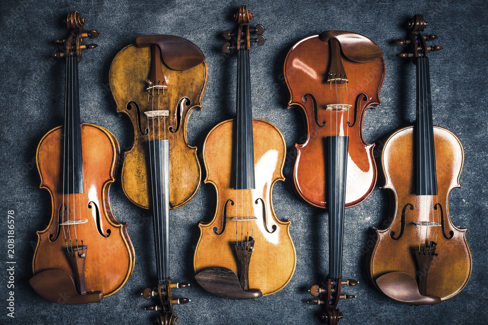 Naklejka premium 複数のバイオリン