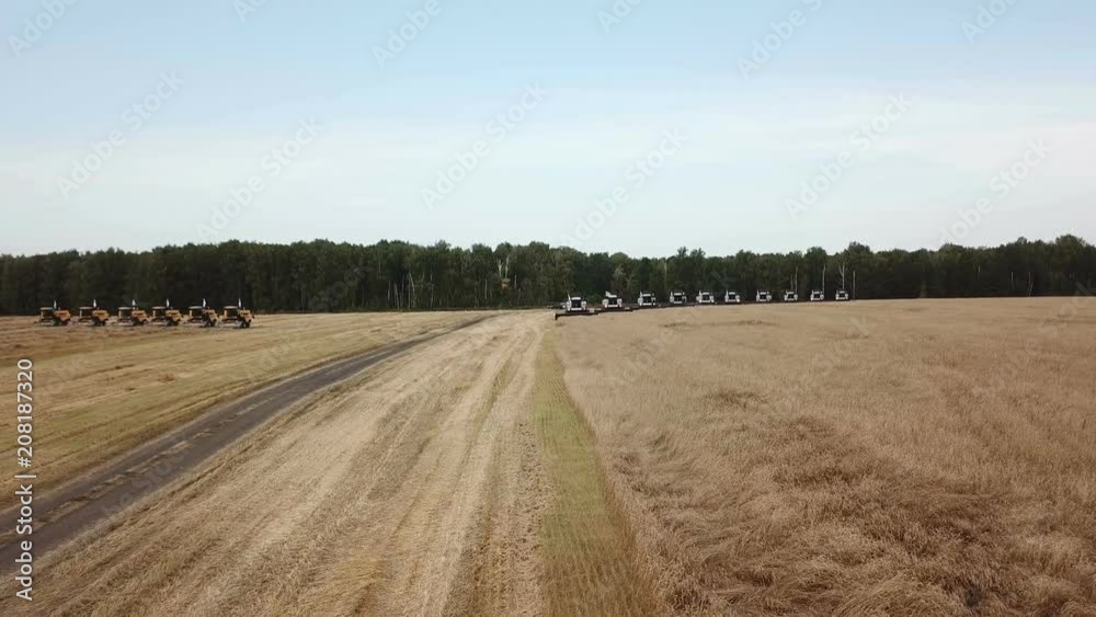 Harvesting grain, technique plowing on the field Harvesting grain, technique plowing on the field