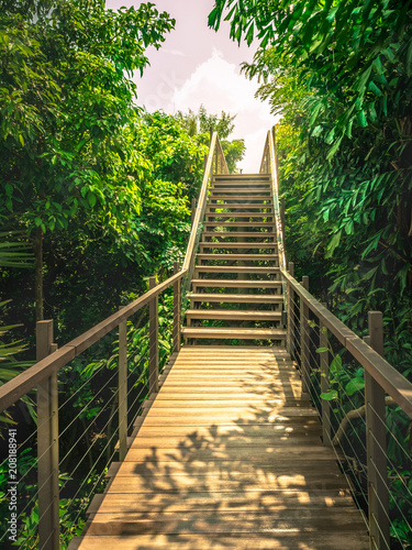 Fototapeta Naklejka Na Ścianę i Meble -  Stairs in the tropical forest with sun