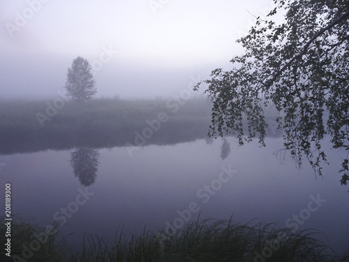 Summer landscape: Morning fog in the forest above the river