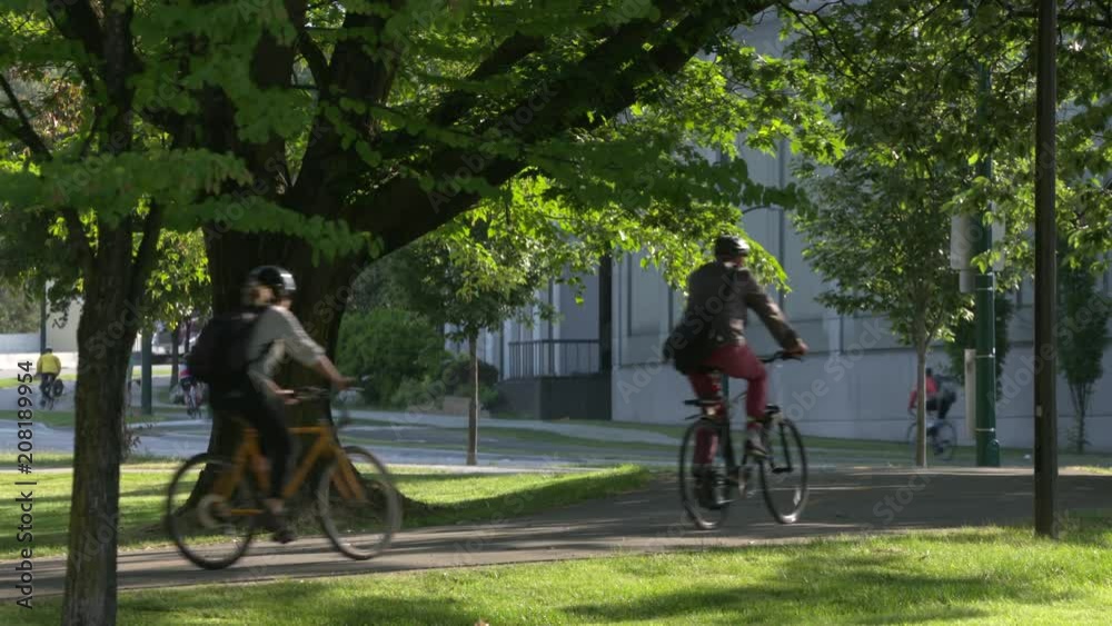 Downtown Bicycle Path 4K. UHD. A bicycle path through a park in