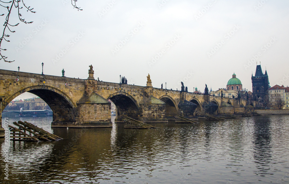 View on Charles bridge and swans on Vltava river in Prague, Czech Republic
