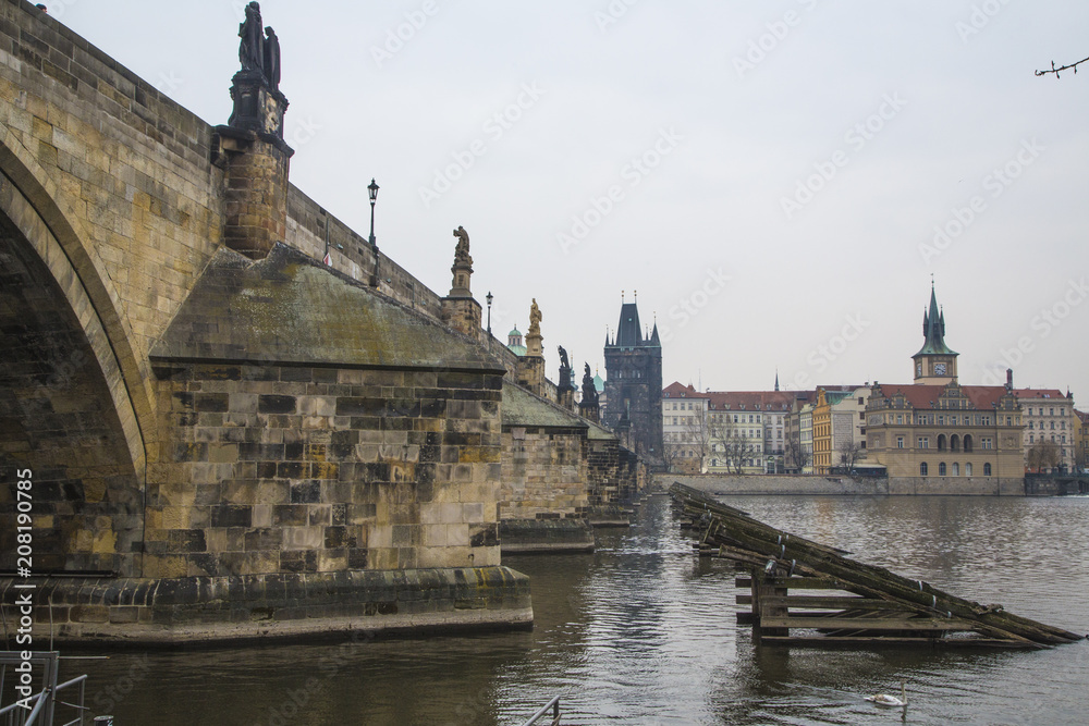 Fototapeta premium View on Charles bridge and swans on Vltava river in Prague, Czech Republic