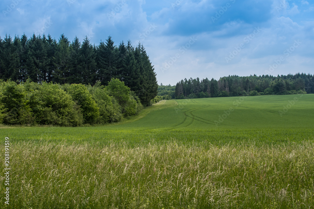 Landschaft in Süddeutschland