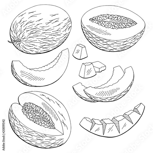 Melon fruit graphic black white isolated set sketch illustration vector