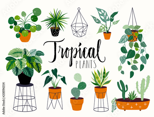 Tropical house plants collection with different elements, isolated on white and hand lettering