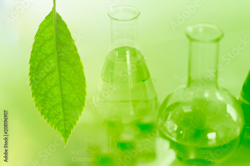 Chemical Science and Bio Technology of Green nature herbal extraction in laboratory for background.