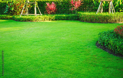 Landscape design, Peaceful Garden, Green garden and lawn photo
