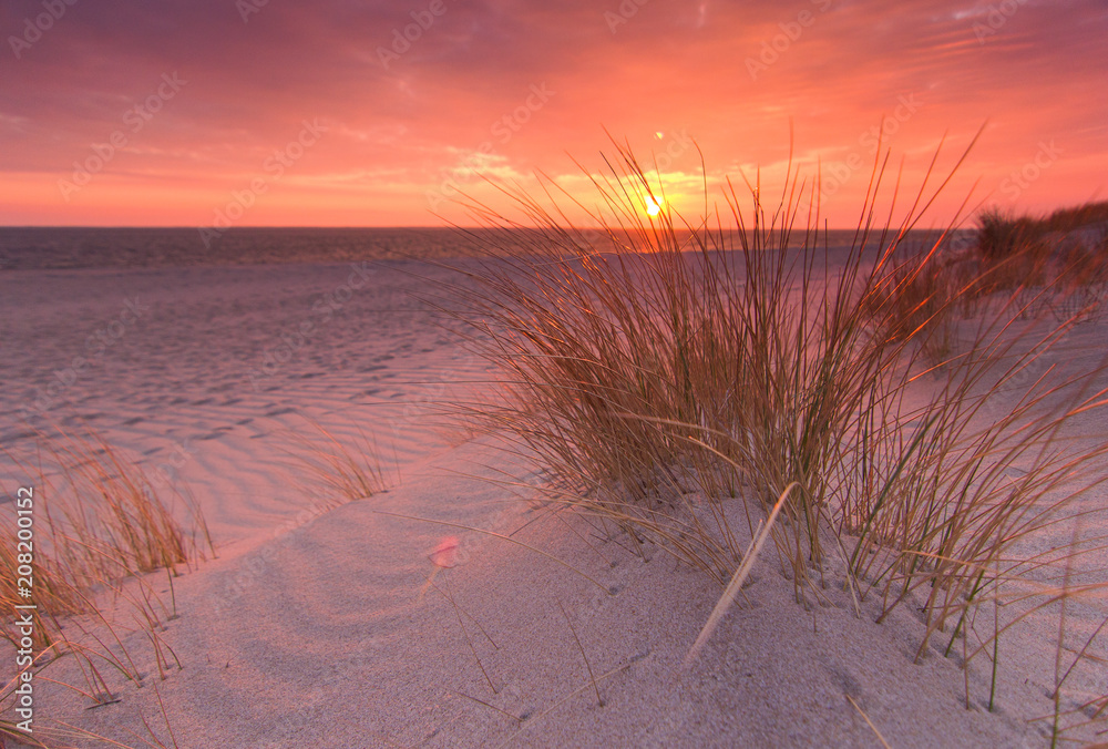 Fototapeta Wschód słońca na plaży