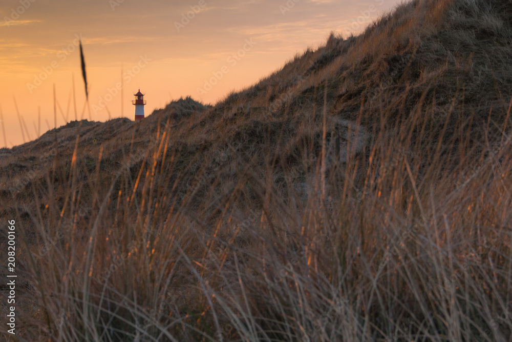 Fototapeta premium Sylt Ellenbogen