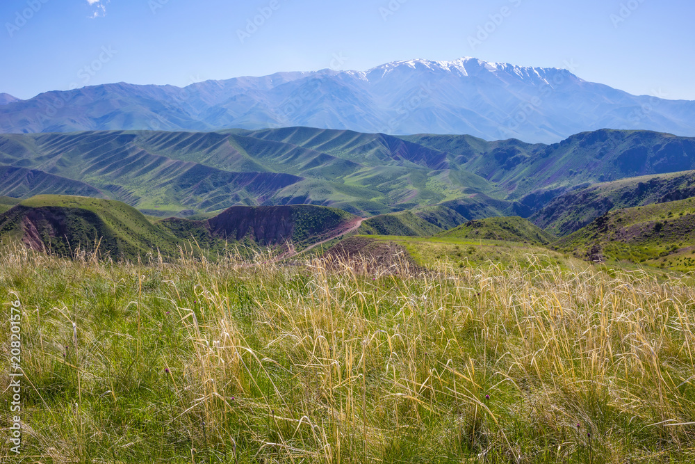 Spring in the mountains. Alma-Ata region. Kazakhstan