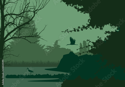 Photo Wetlands with forest and flying and standing stork, under the evening sky