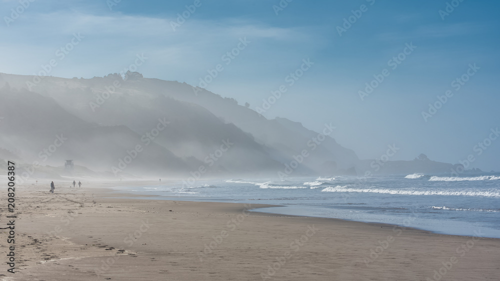Beautiful beach in California, sunrise on the Pacific coast
Beautiful beach in California, sunrise on the Pacific coast