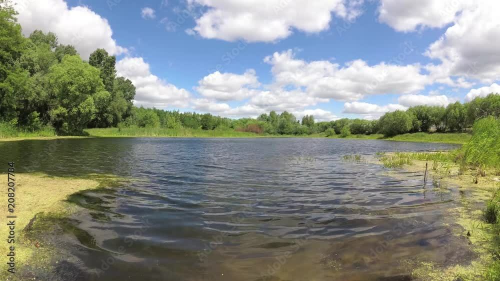 a forest lake under a blue sky with clouds. a forest lake under a blue sky with clouds.