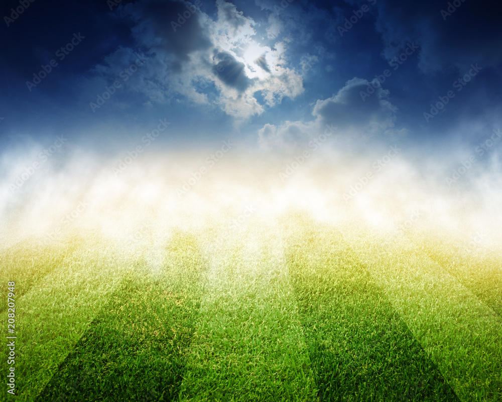Obraz premium soccer field stadium background