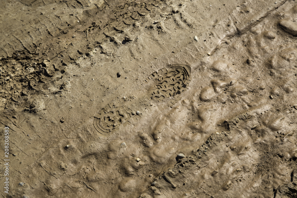 Foot footprint mud Foot footprint mud