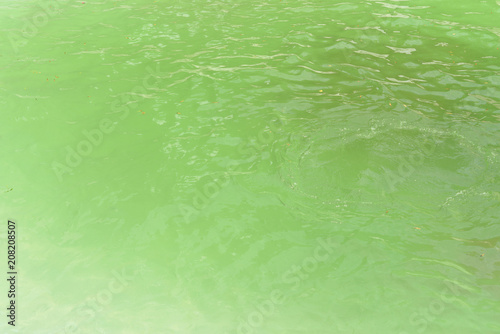 Green water in the pool